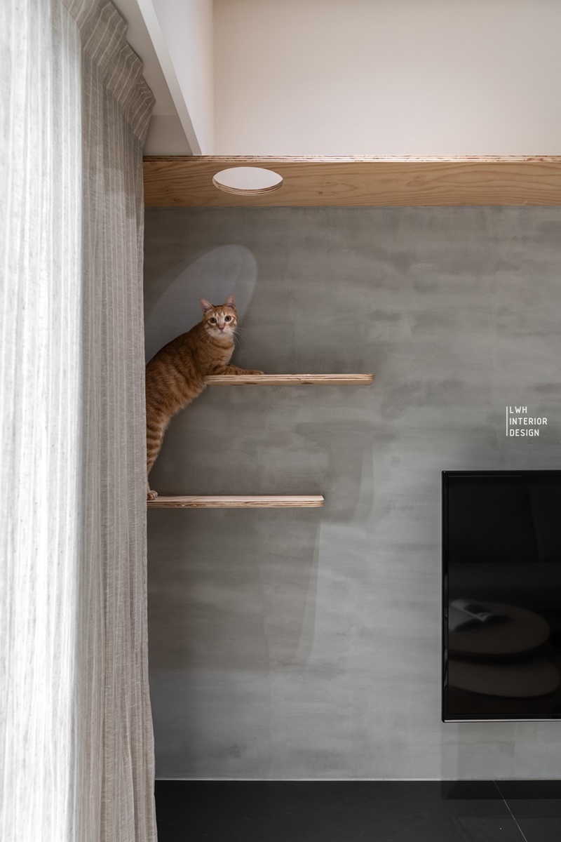 寵物宅貓咪層板設計